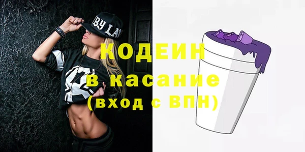 крисы Горняк