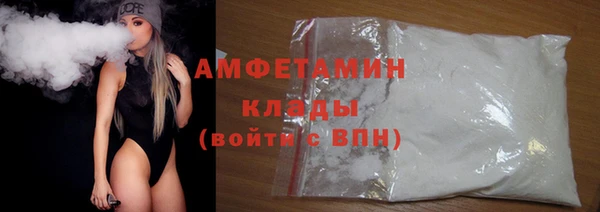 крисы Горняк