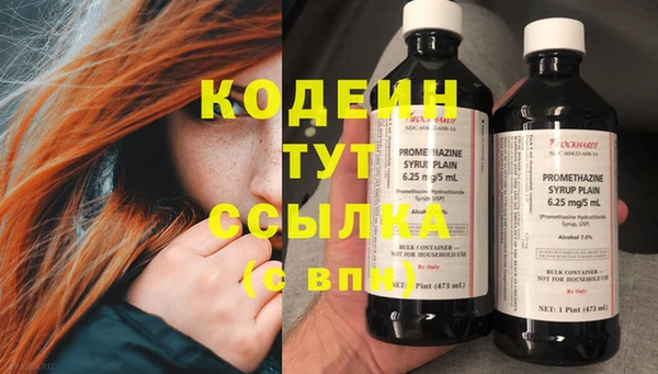 крисы Горняк