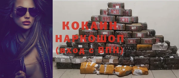 крисы Горняк