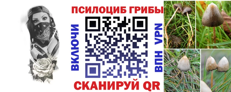 магазин    Меленки  Галлюциногенные грибы ЛСД 